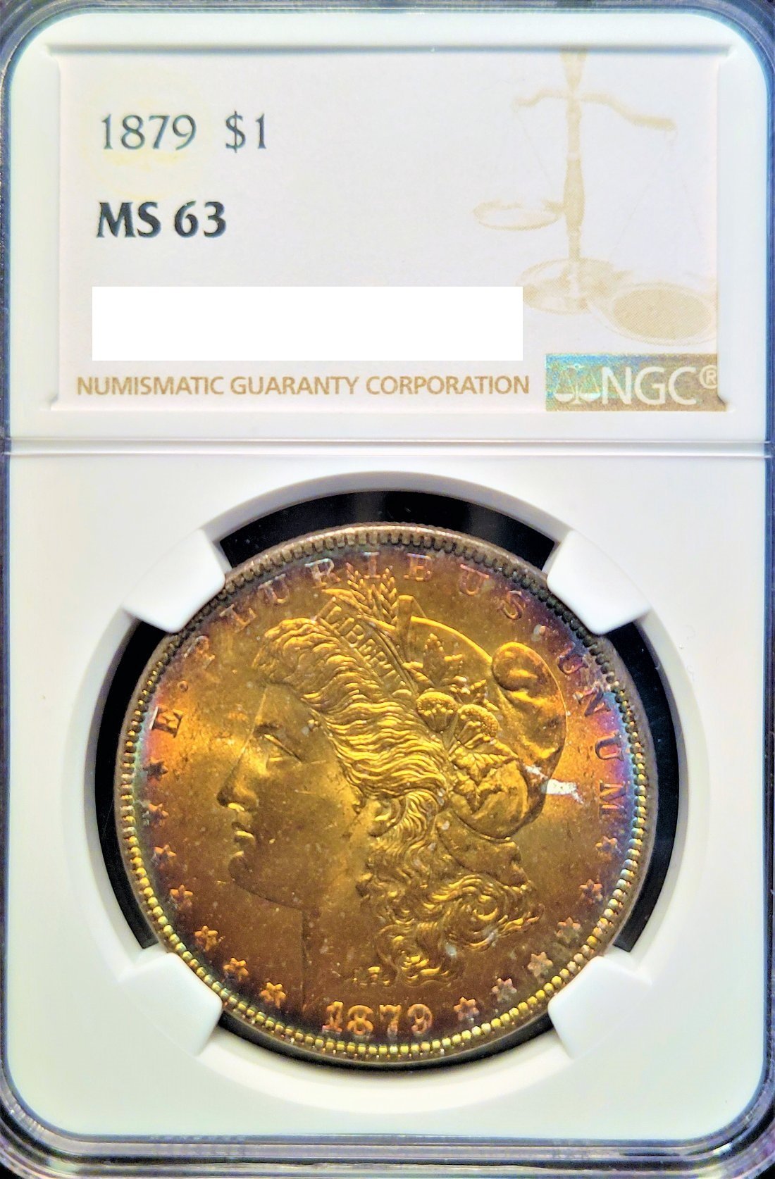 1879-$1-Morgan-Silver-Dollar-Obverse-Toned